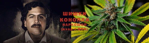 ешки Гусь-Хрустальный