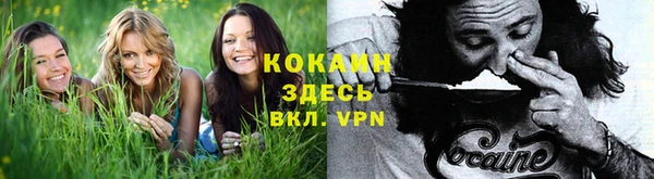 гидропоника Горнозаводск
