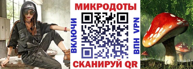 Купить закладки  Покровск  Псилоцибиновые грибы Cubensis 